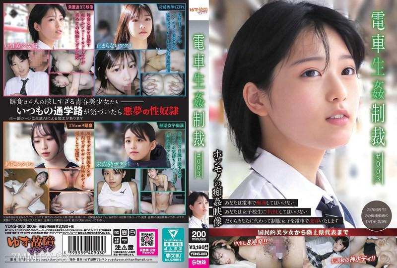 YDNS-003 電車生姦制裁 ＃003 素人 素人